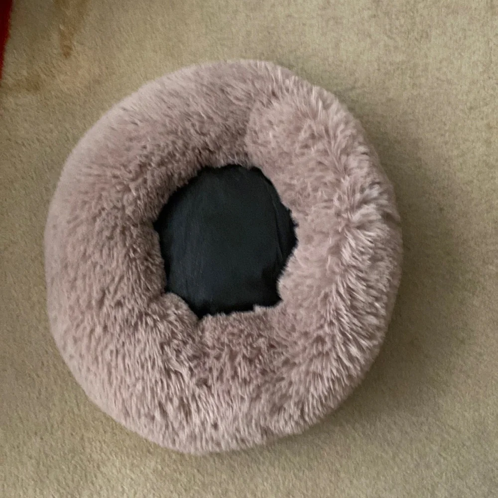 Cat bed, never used . Champagne color 24x8.